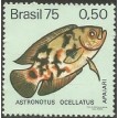 BRASIL SL-1975/0887