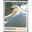 ANGOLA SL-2000/0025