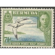 BERMUDA SL-1921/0141D