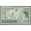 BERMUDA SL-1953/0152