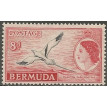 BERMUDA SL-1953/0153