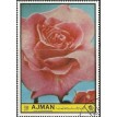 EA/AJMAN SL-9999/0228