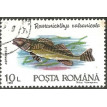 ROMÊNIA SL-1992/3731