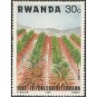 RUANDA SL-1983/1141