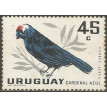 URUGUAI SL-1962/C248