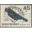 URUGUAI SL-1962/C248A