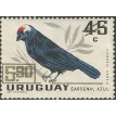 URUGUAI SL-1967/C320